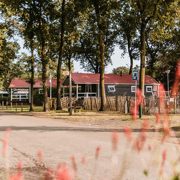heische tip jaarplaatsen camping